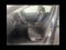 2027 Volkswagen Jetta 1.5T S