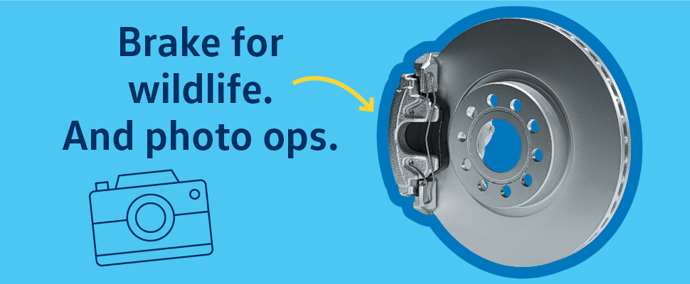 Genuine VW Brake Pad and Rotor Replacement*